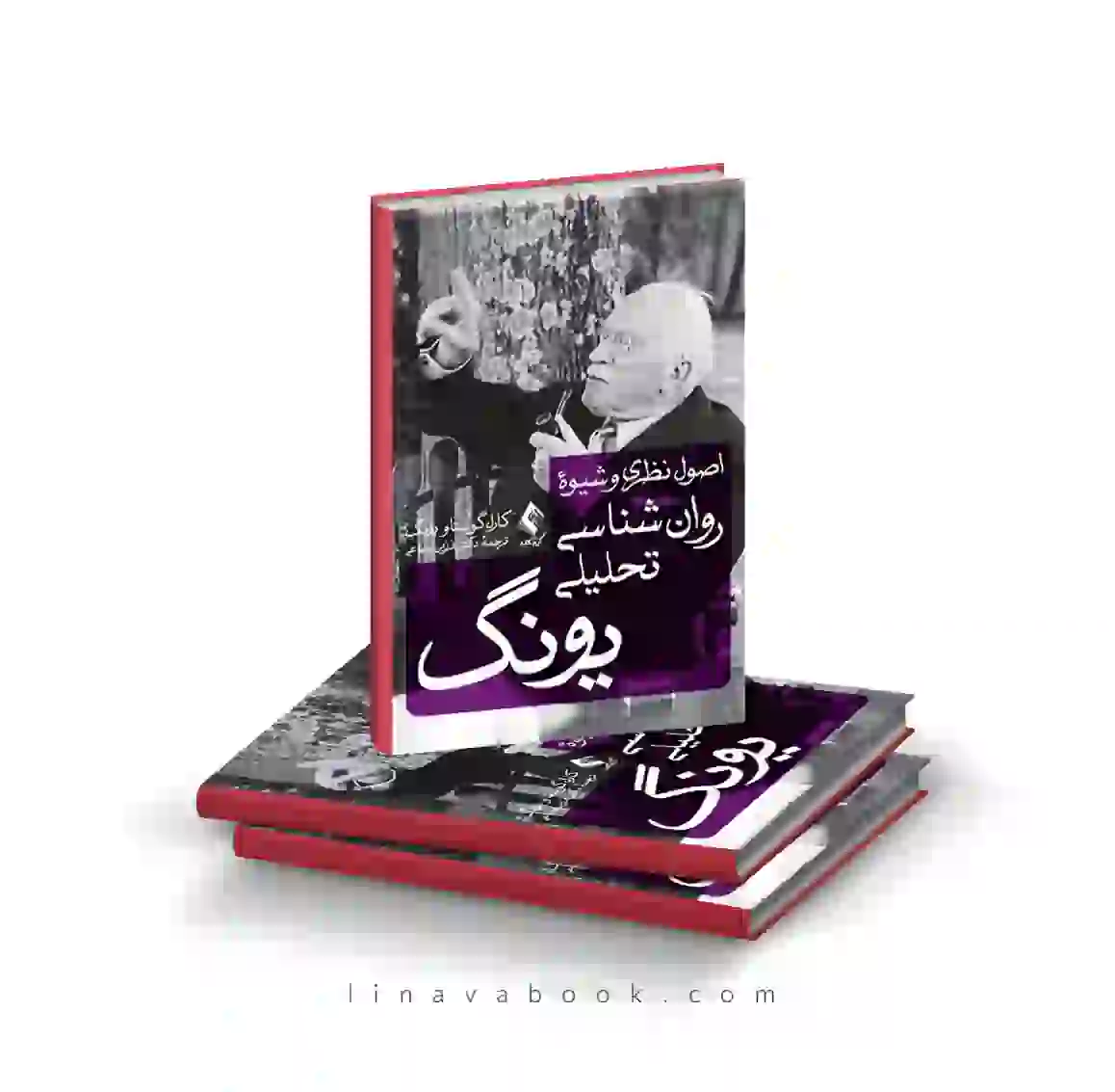 5 کتاب اصول نظری و شیوه روانشناسی تحلیلی یونگ ترجمه فرزین رضاعی نشر ارجمند - Image 1